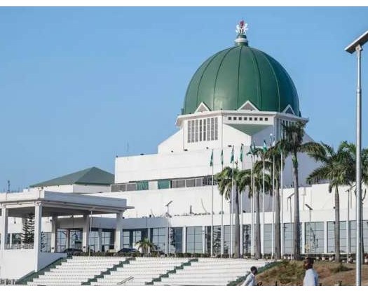Nigeria: Can A Gender Bill Bring Political Inclusion?
