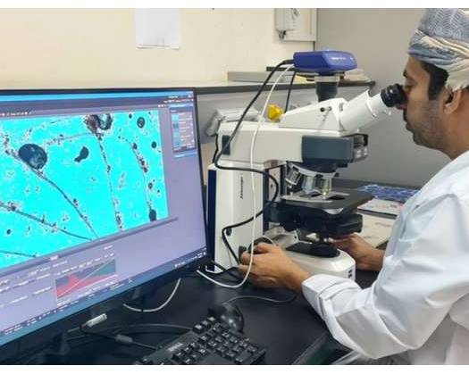 Nizwa University Research Team Discovers New Fungal Family