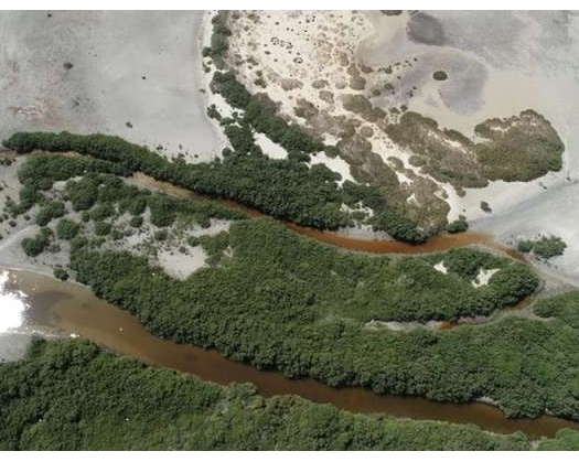 Oman Gains Ramsar Accreditation For Al Wusta Wetlands Reserve