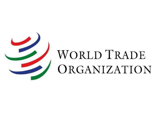 WTO Raises 2024 Goods Trade Forecast; But Wary Of Risks Due To Geopolitical Tensions