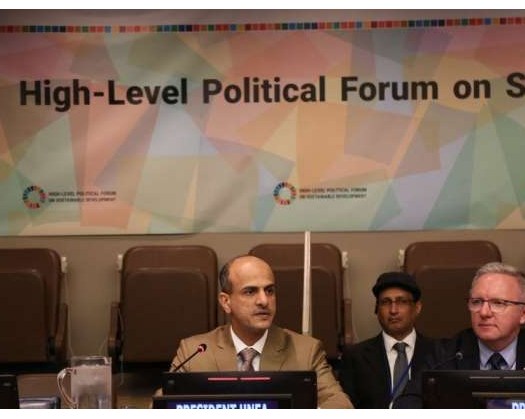 Environment Authority Participates In High-Level Political Forum On Sustainable Development