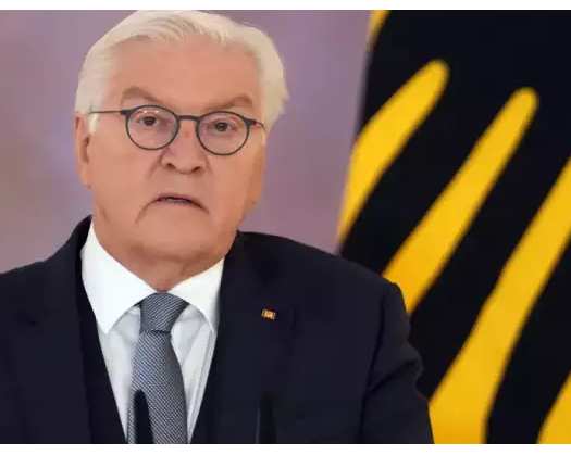 Elon Musk Insults German President Frank-Walter Steinmeier