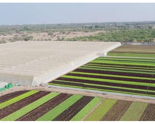Food Security Index Sees Improvement In Oman