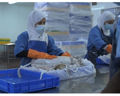 Oman Witnessing Remarkable Growth In Fish Industry Sector :MAFWR