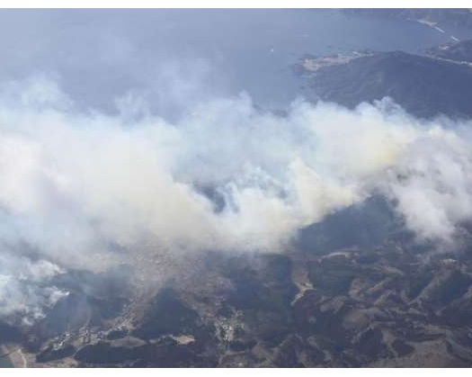 Some 2,000 People Told To Evacuate In Japan Wildfire
