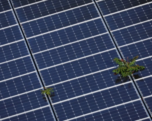 OQ8 Powers Up Sustainability With 47,048 m2 Of Solar Panels