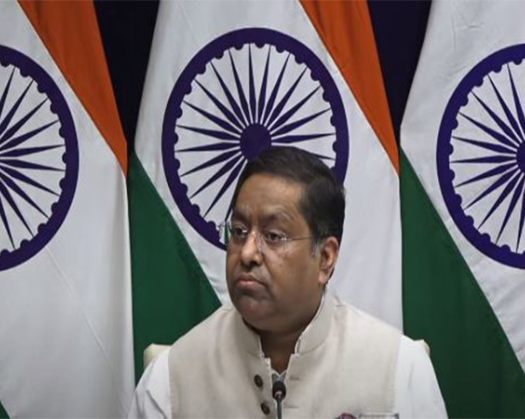 Expect Canada To Take Action Against Anti-India Elements: MEA