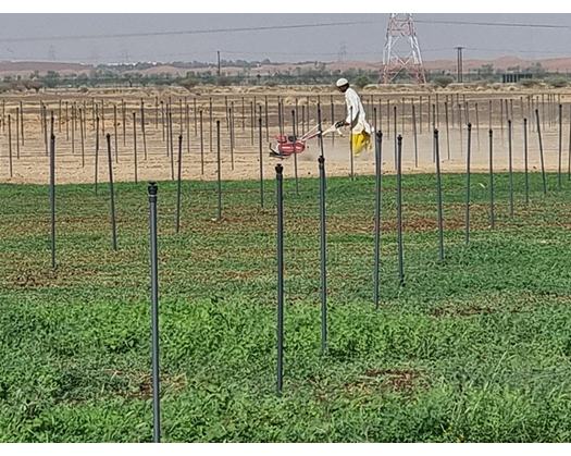 Six Investment Opportunities Offered In Agricultural Sector