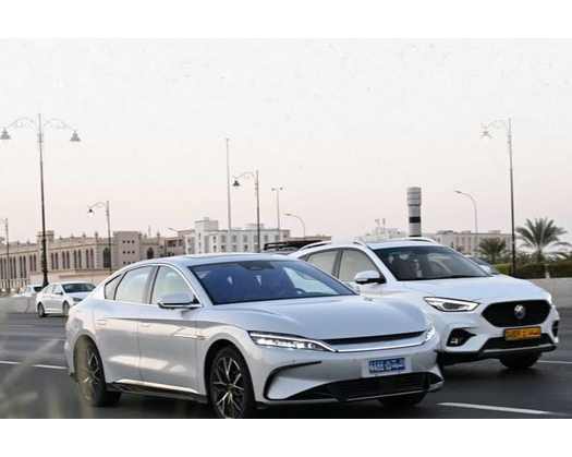 ROP Goes Green: Electric Vehicles Added To Patrol Fleet