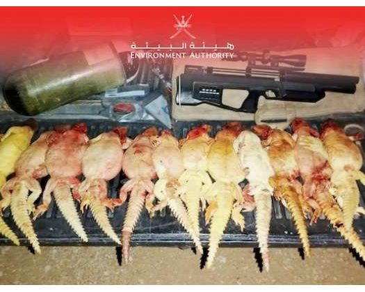 Citizens Arrested For Hunting Monitor Lizard In Dhofar