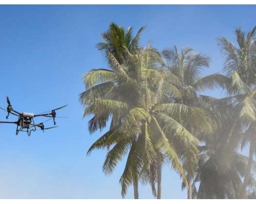 Agricultural Innovations Contribute To Enhancing Productivity, Promoting Environmental Sustainability In Oman