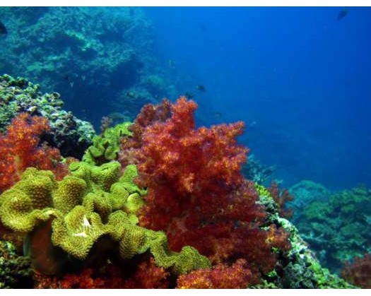 Ecotourism Investment Boosts Economy, Empowers Local Communities