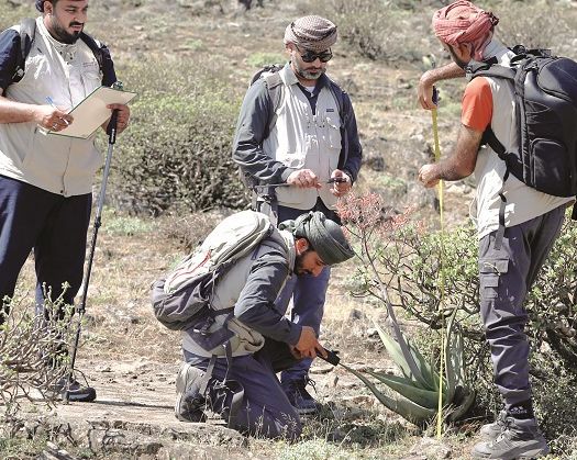 Scientists Step Up Efforts To Save Oman’s Plant Species