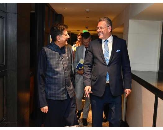 India, EU Reaffirm Commitment To Early Conclusion Of FTA Talks: Piyush Goyal