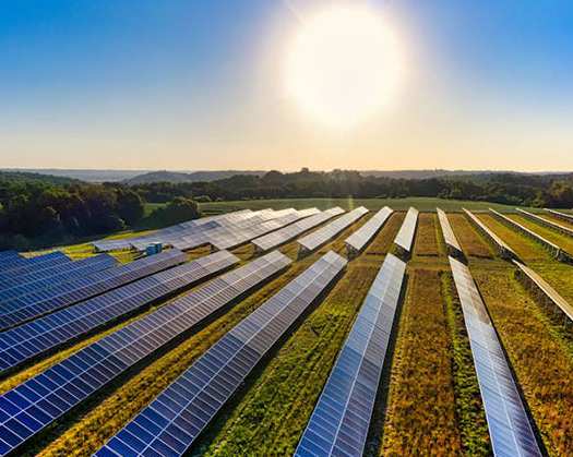 India Emerges As A Global Leader In Clean Energy Transition