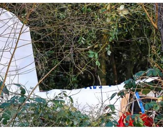 Germany: Aircraft Crashes Into Garden, Killing Pilot