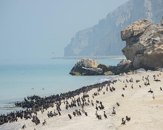 Oman's Ministry Focuses On 'Sustainable Tourism'