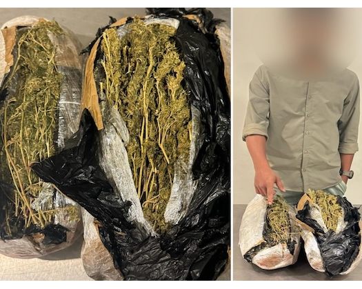 Over 2 Kgs Of Marijuana Seized At Muscat International Airport